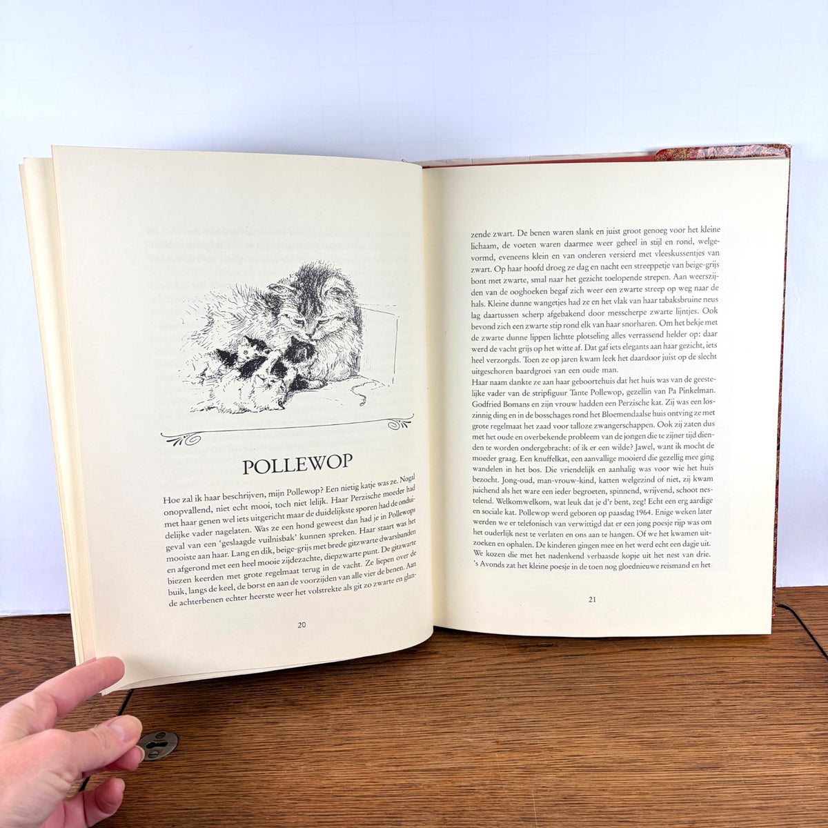 Vintage boek Twee vrouwen over Katten Stellweg & Ronner