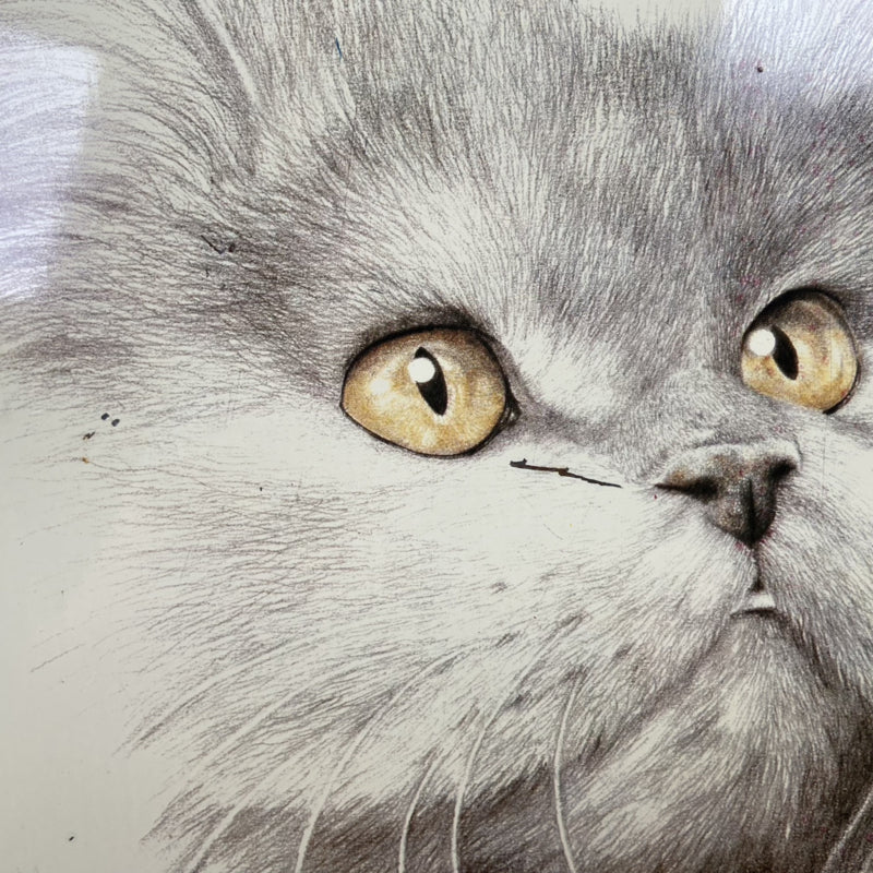 Dienblad Massily kat