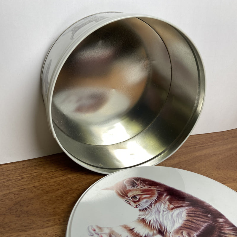 Witte koektrommel met kat