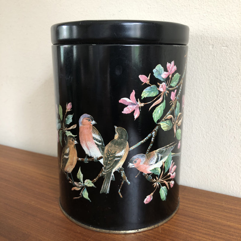 Vintage Vogel blikken