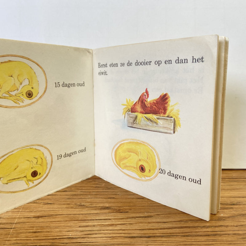 Pixi boekje De Kuikentjes