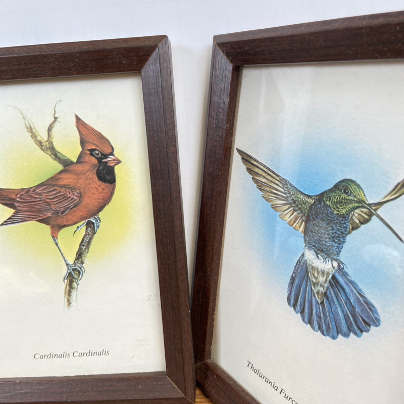 Set van 2 vogel schilderijen