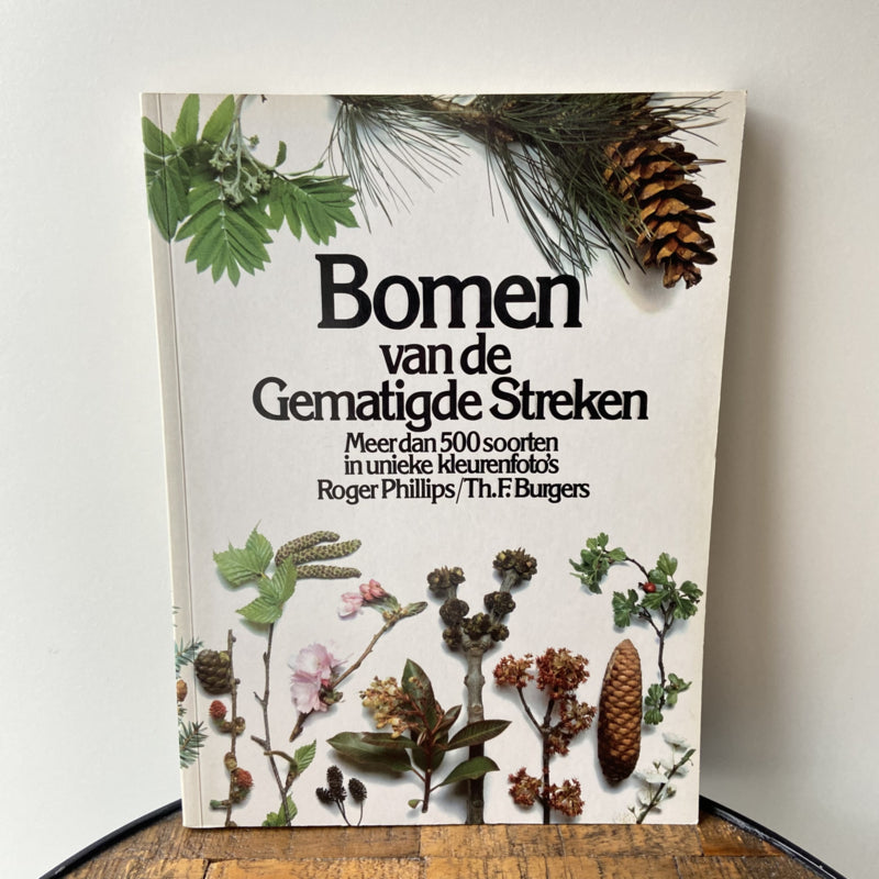 Bomen van de Gematigde Streken