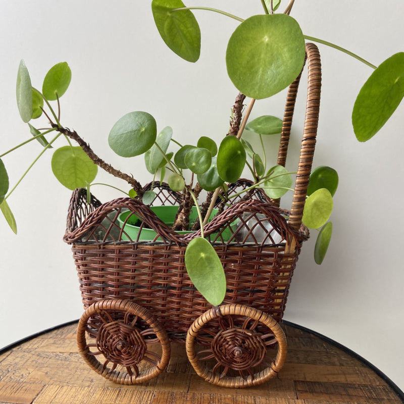 Rieten bloempot wandelwagen