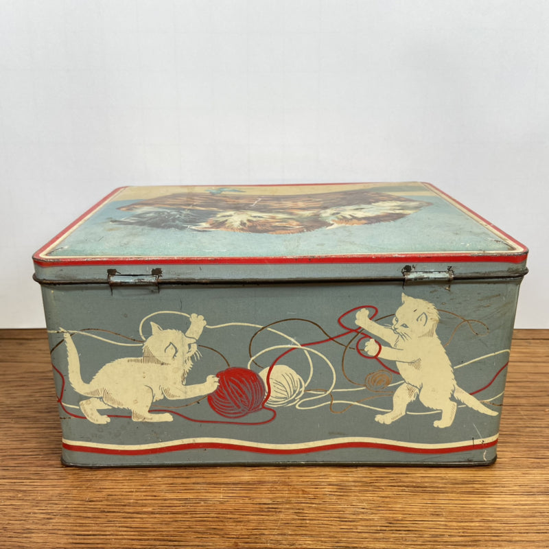 Vintage blik katten blik
