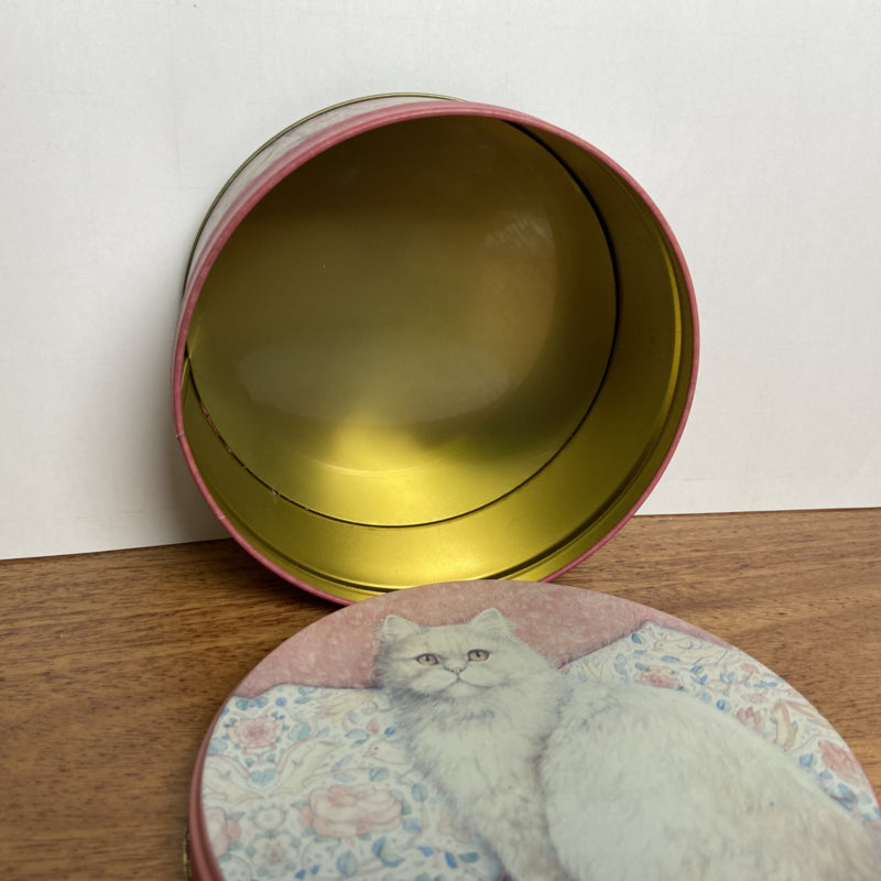 Snoezig katten blik