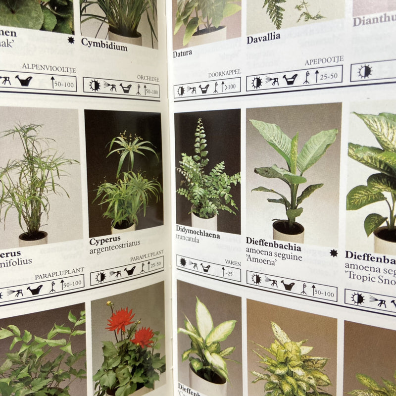 Het 500 planten boek Brio