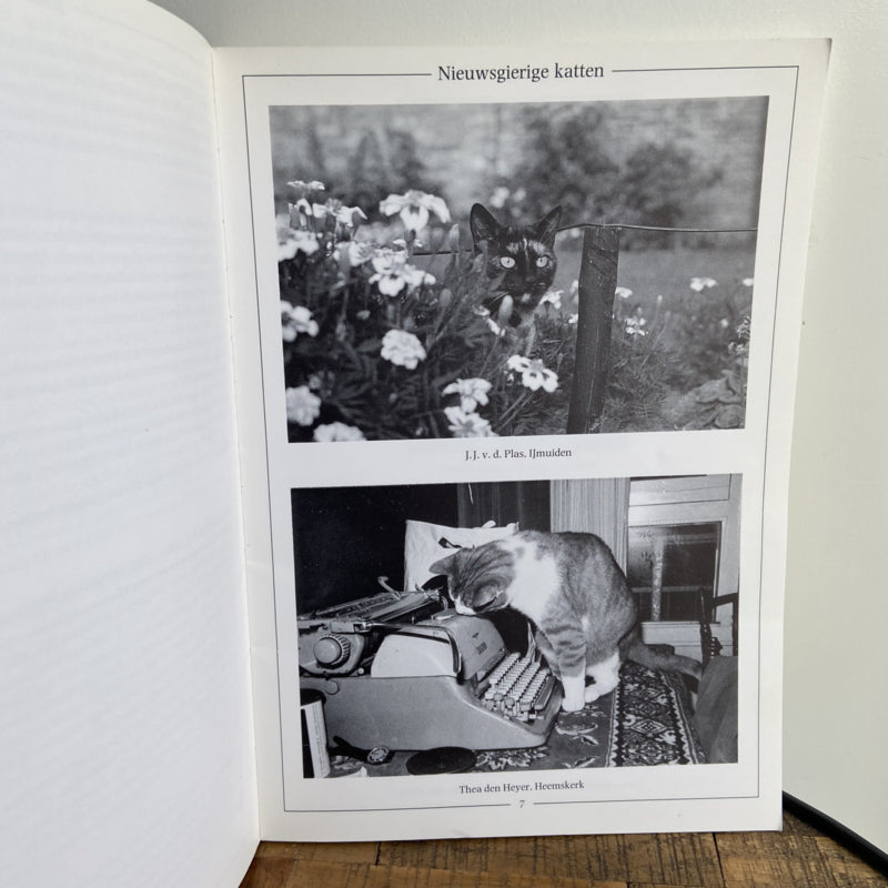 Boek Kat in Beeld
