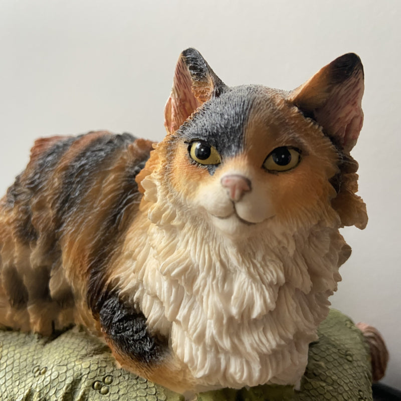 Franciens katten Noortje