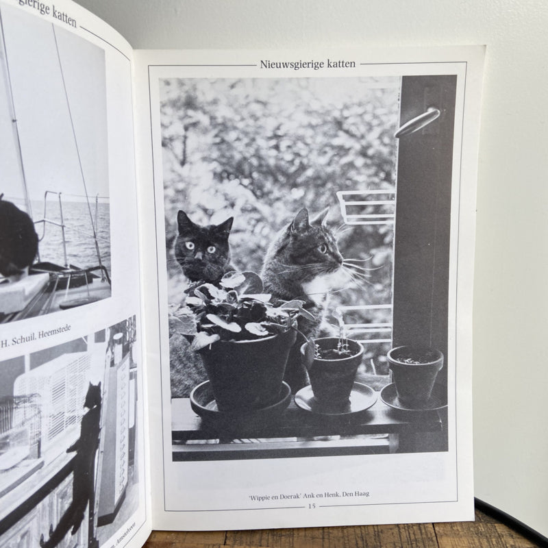 Boek Kat in Beeld