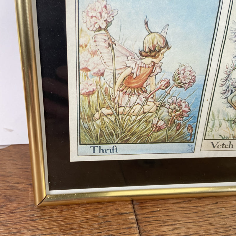 Lijst met A Flower Fairy Alphabet