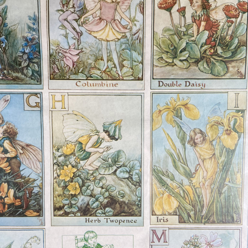 Lijst met A Flower Fairy Alphabet