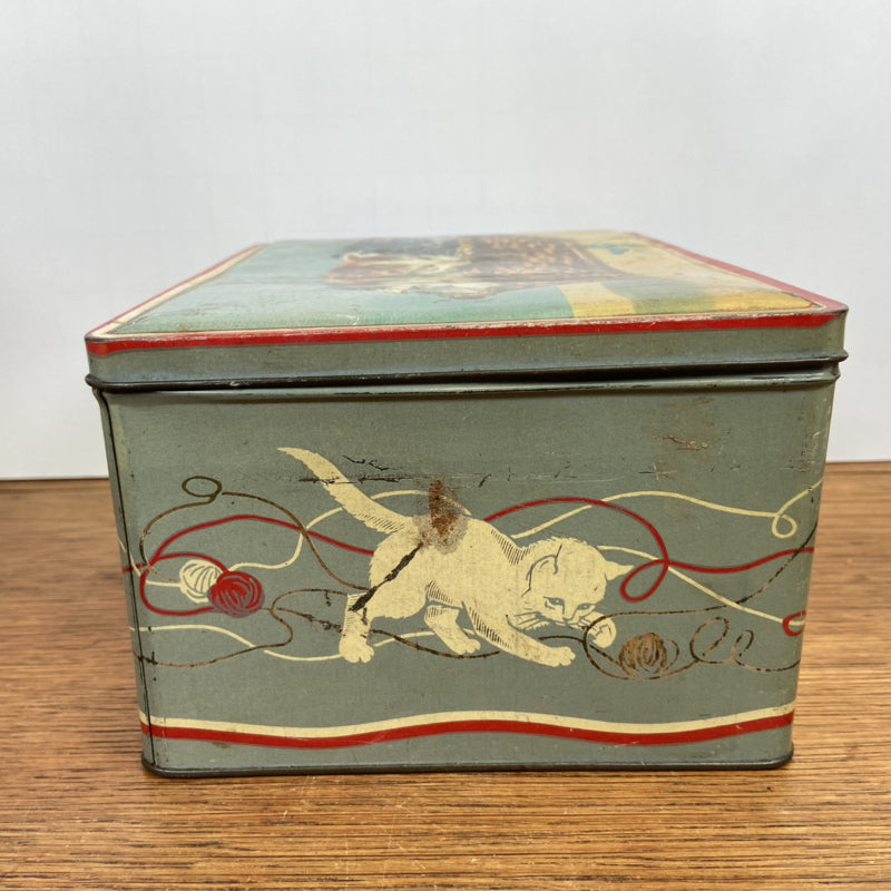 Vintage blik katten blik