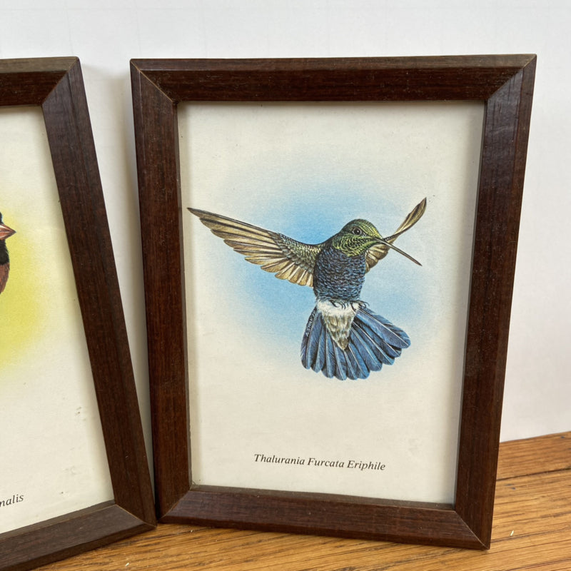 Set van 2 vogel schilderijen