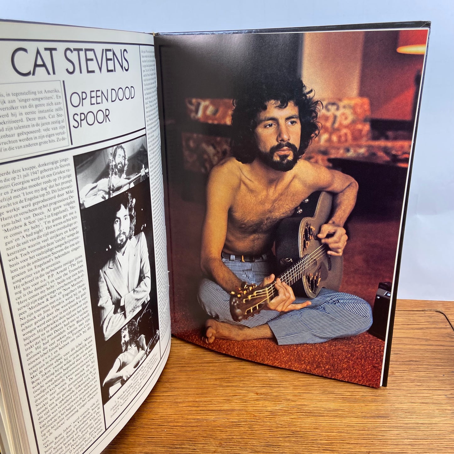 Boek The Seventies