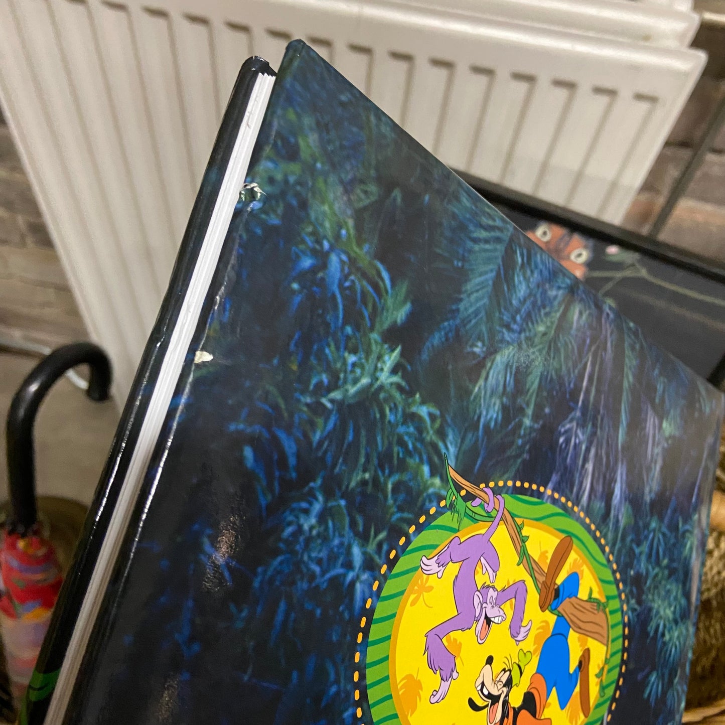 Fotoalbum Disney Goofy