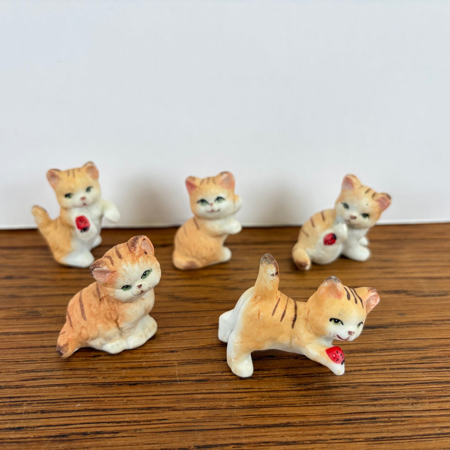 5 kleine katjes