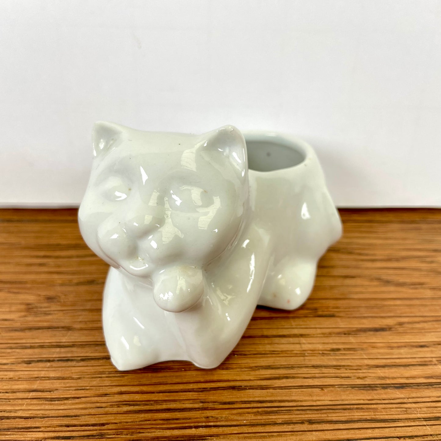 Klein wit bloempotje kat