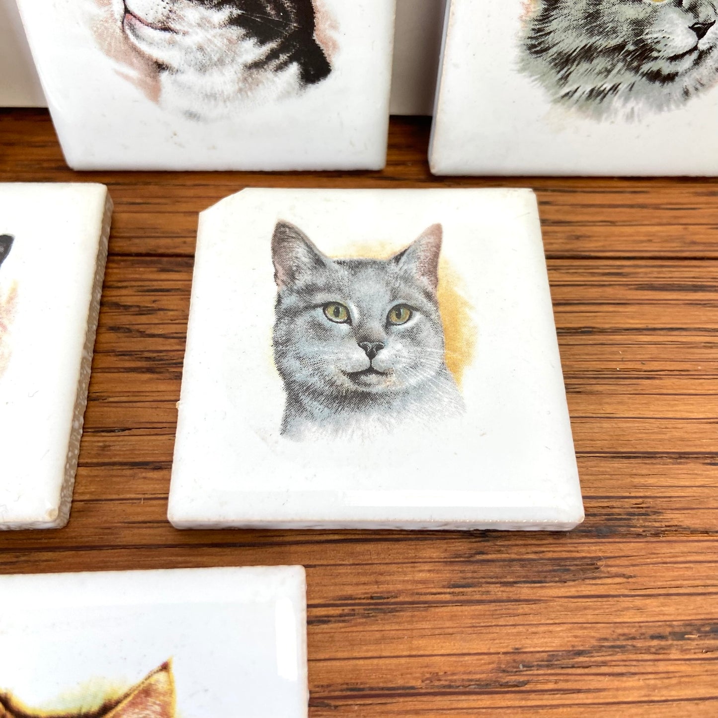 vintage tegeltjes katten