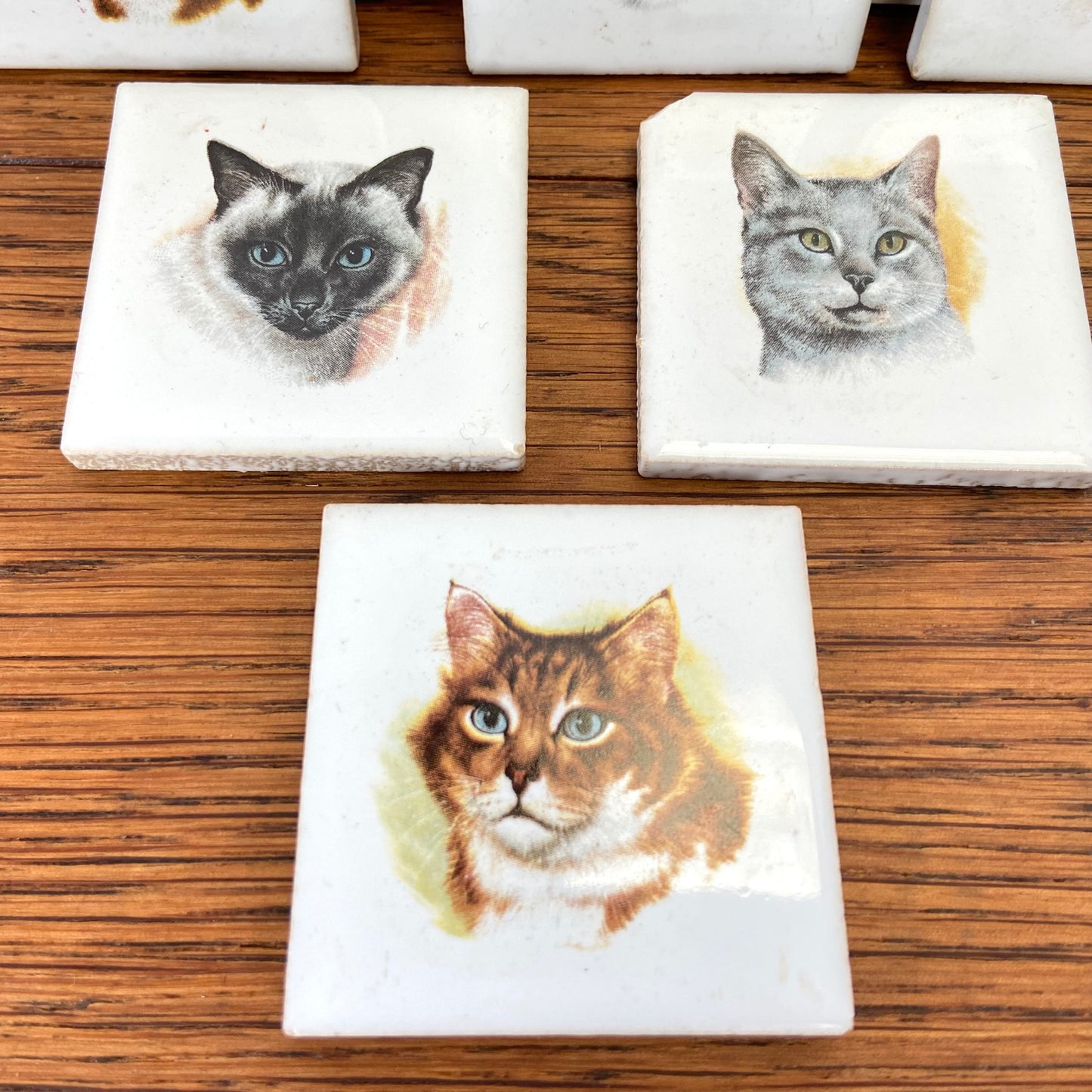 vintage tegeltjes katten