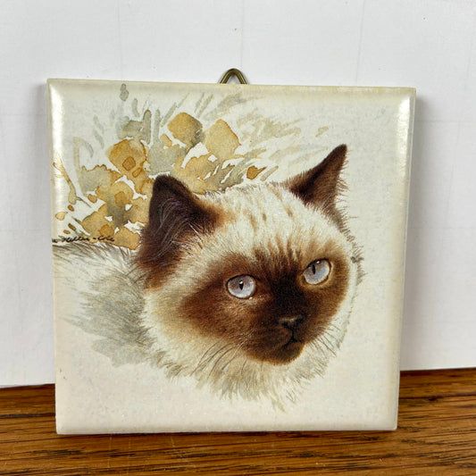 Vintage tegeltje kat ragdoll