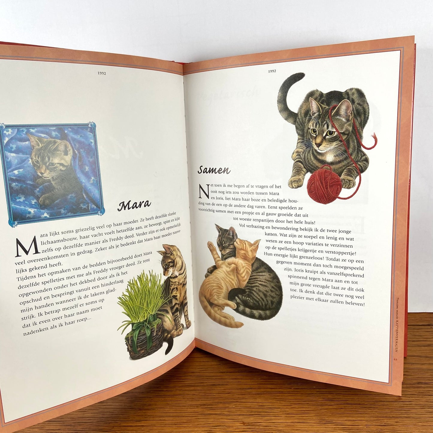 Boek Franciens mooiste kattenverhalen.