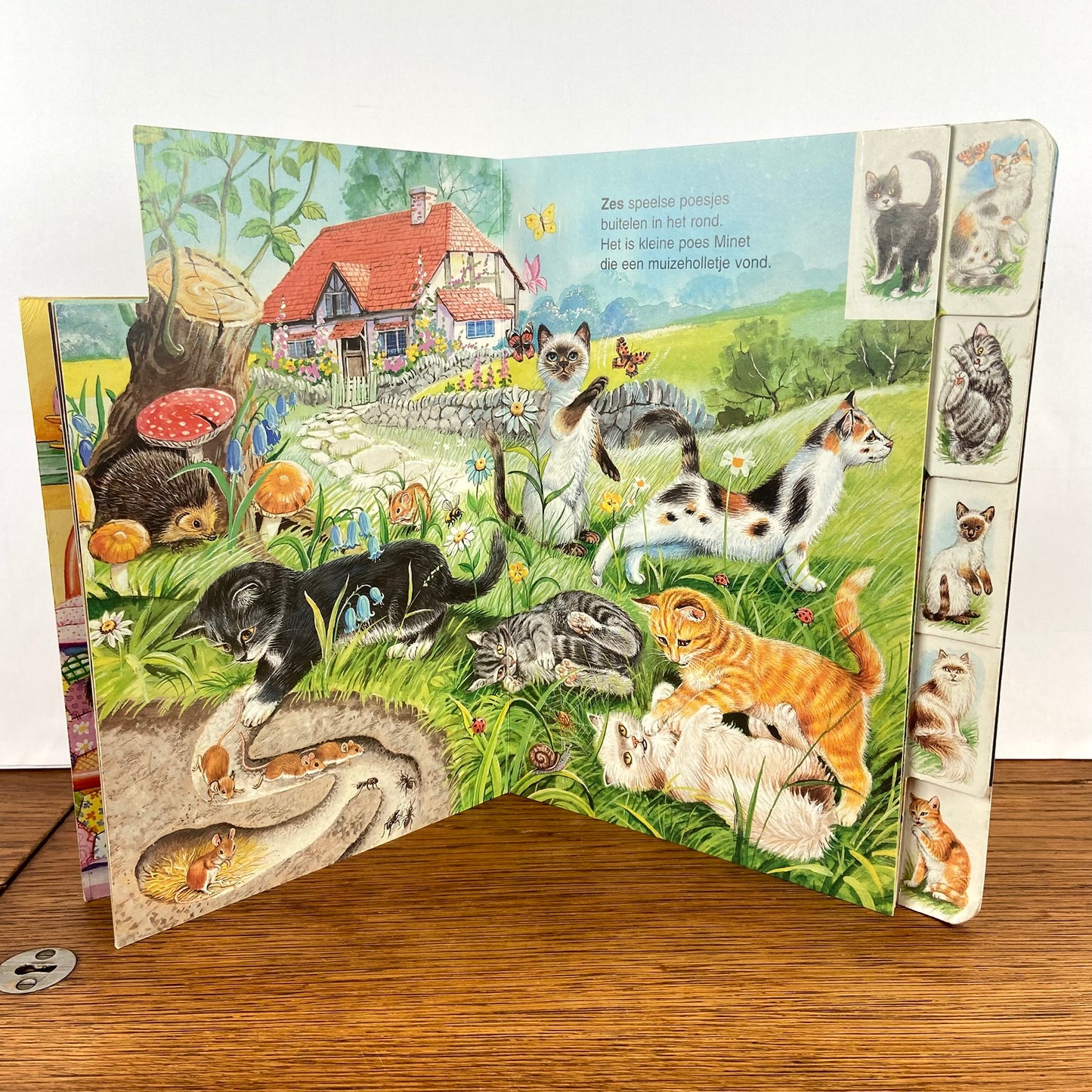 Vintage boek 10 speelse poesjes