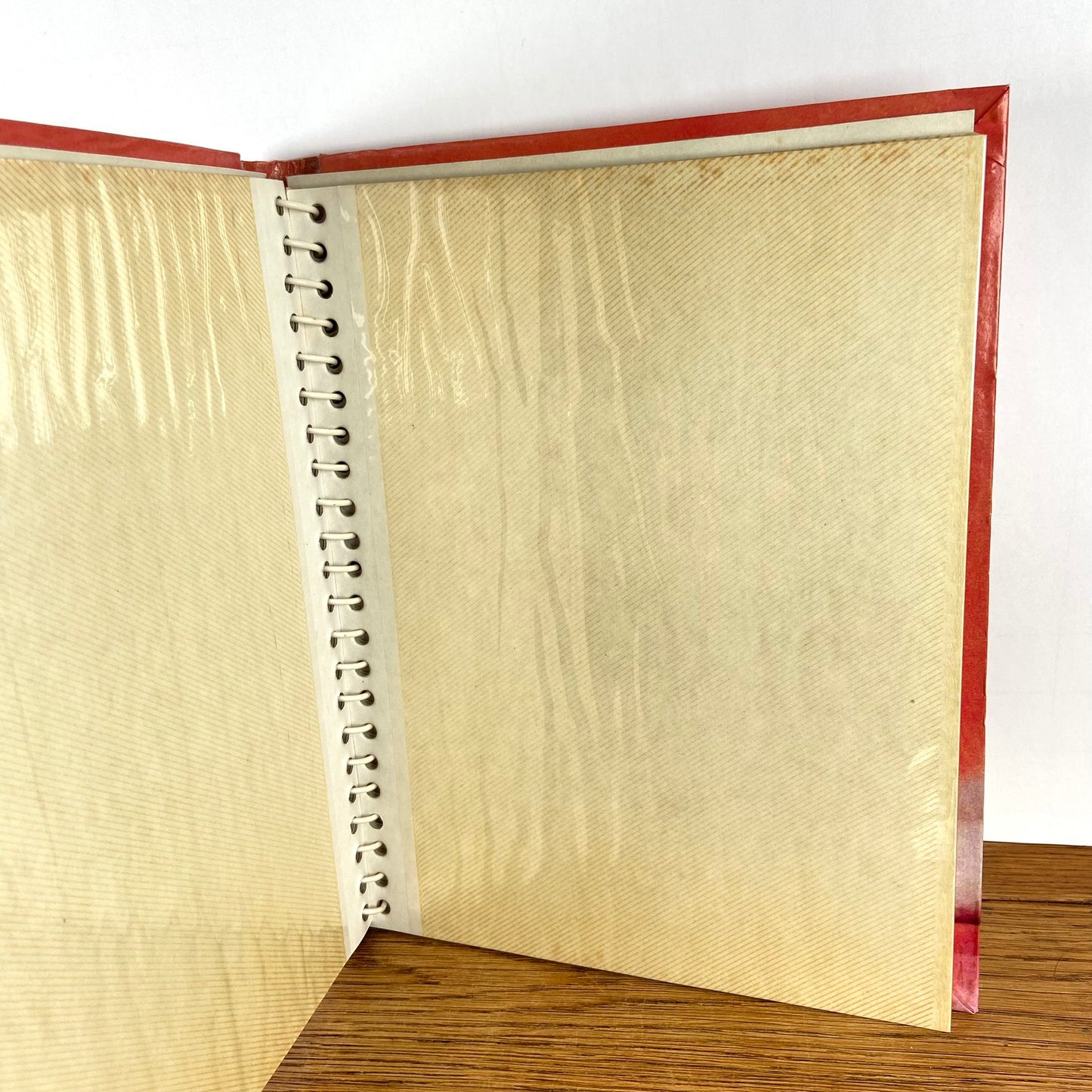 Vintage fotoalbum kat