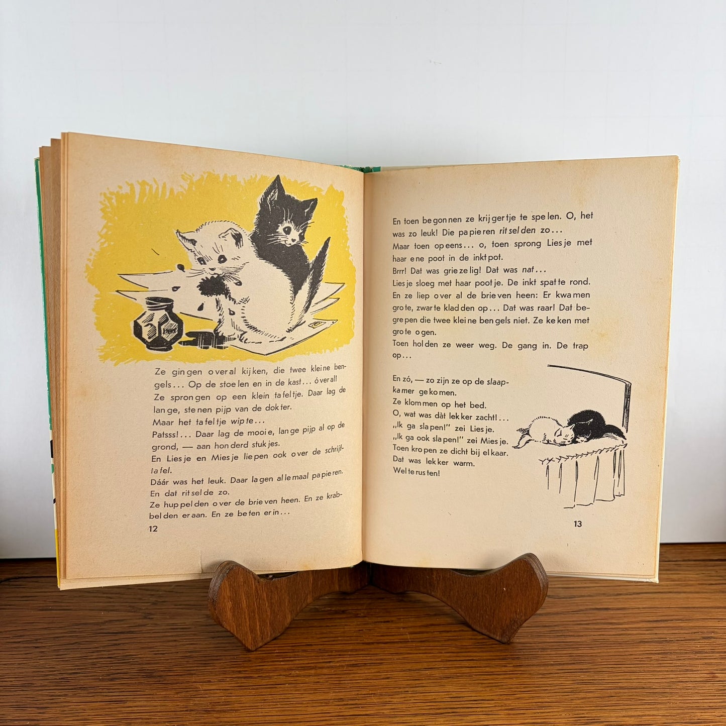 Boek: Allemaal Katjes W.G. van de Hulst