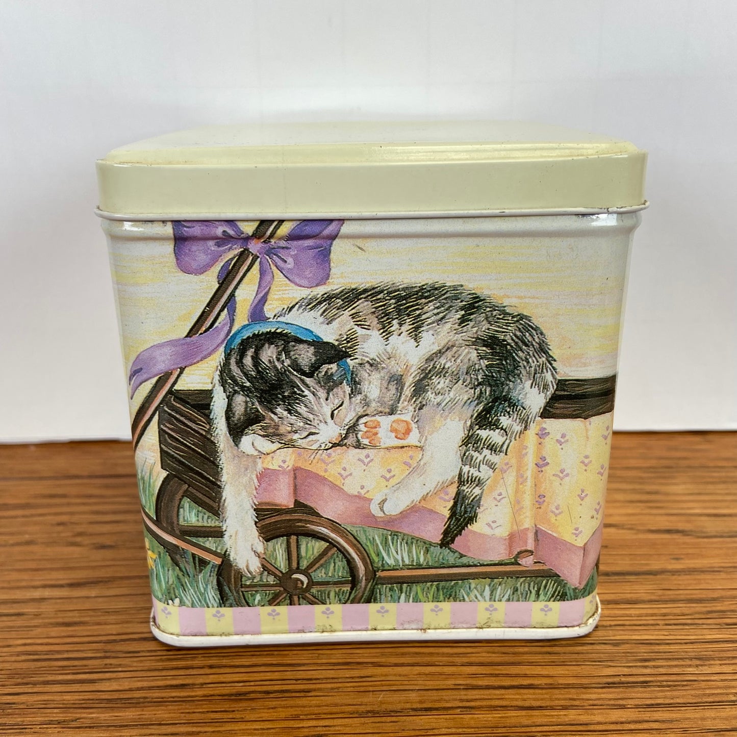 Vintage katten blik vierkant