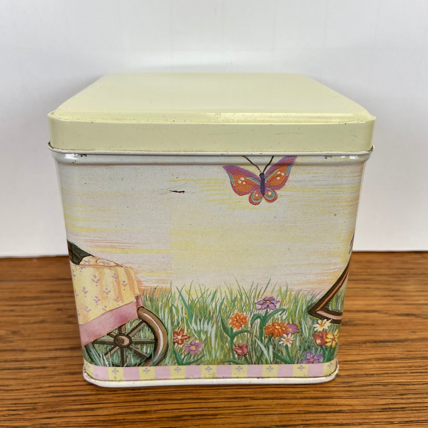 Vintage katten blik vierkant