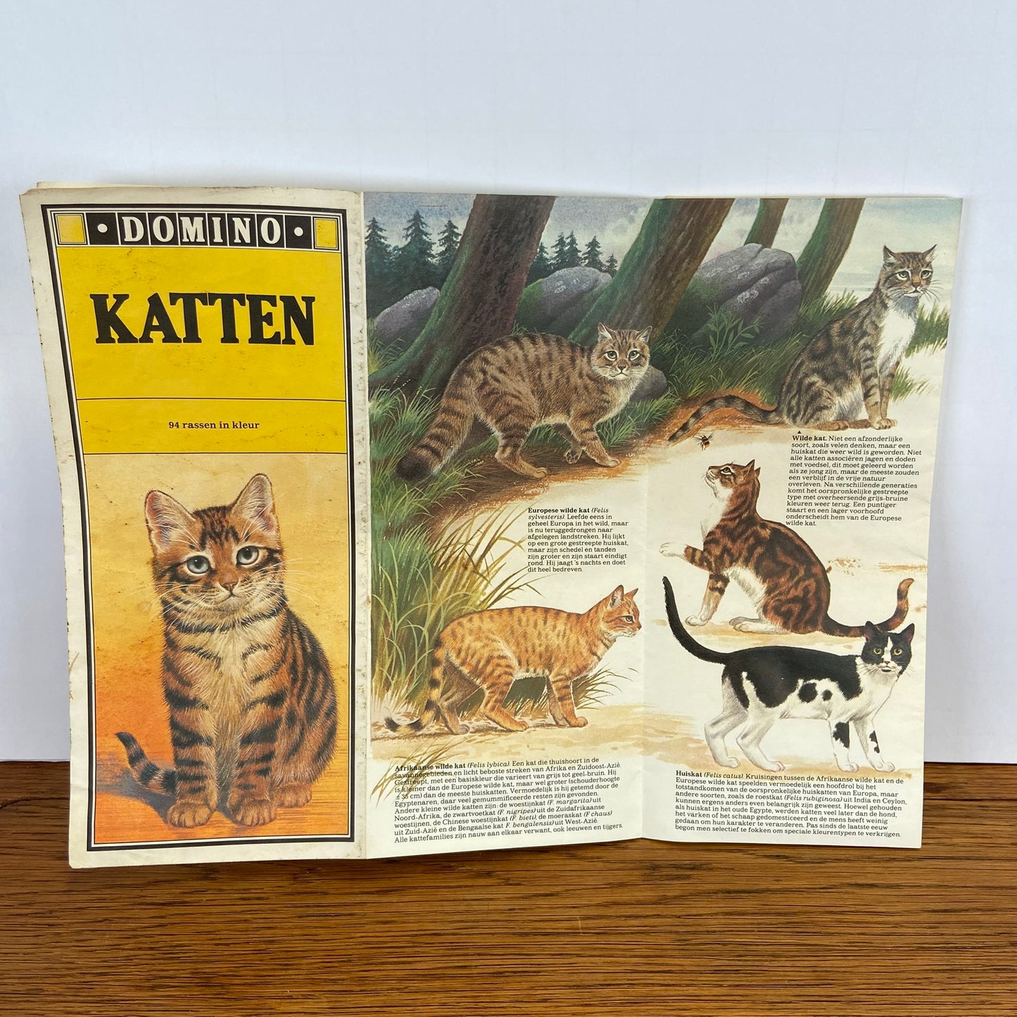 Vintage kaart katten - 94 rassen