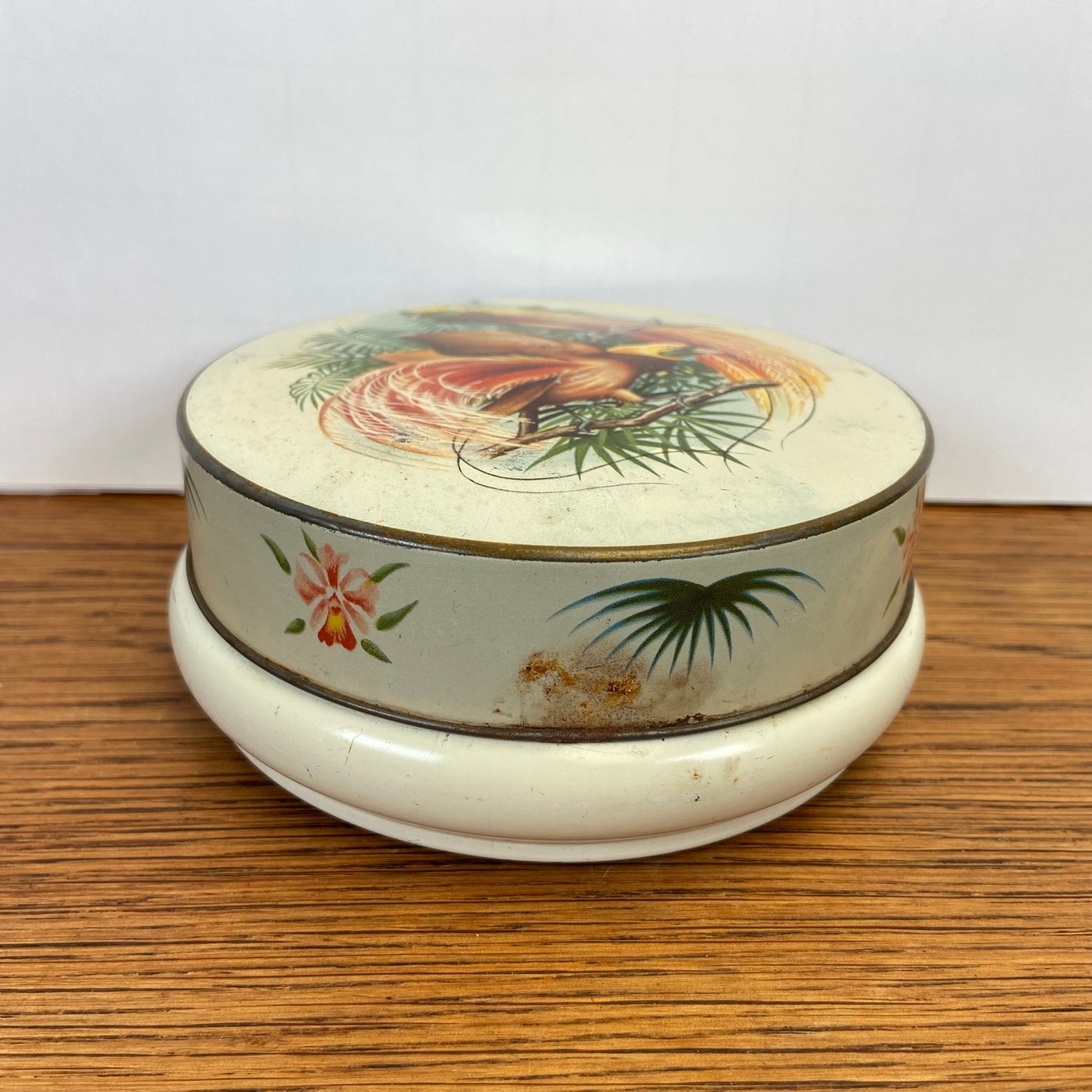 Vintage blikje paradijsvogels rond