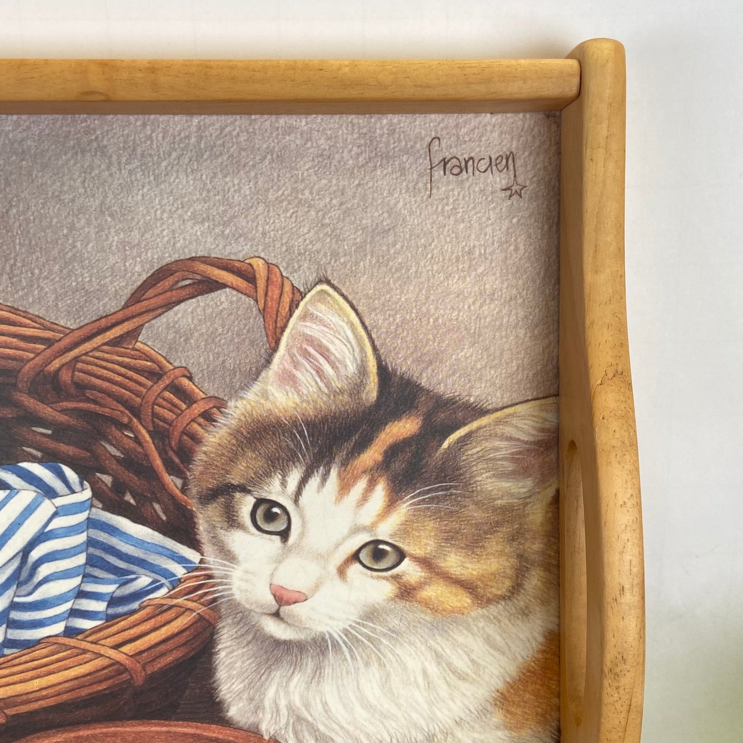 Dienblad Franciens katten