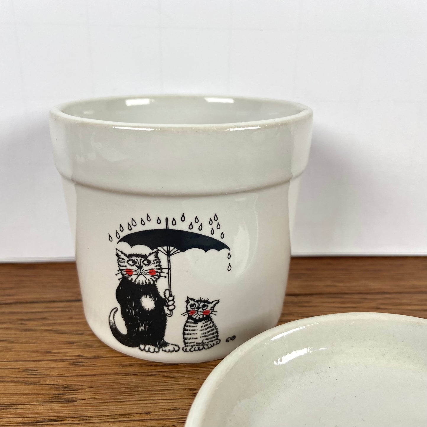 Klein bloempotje katten