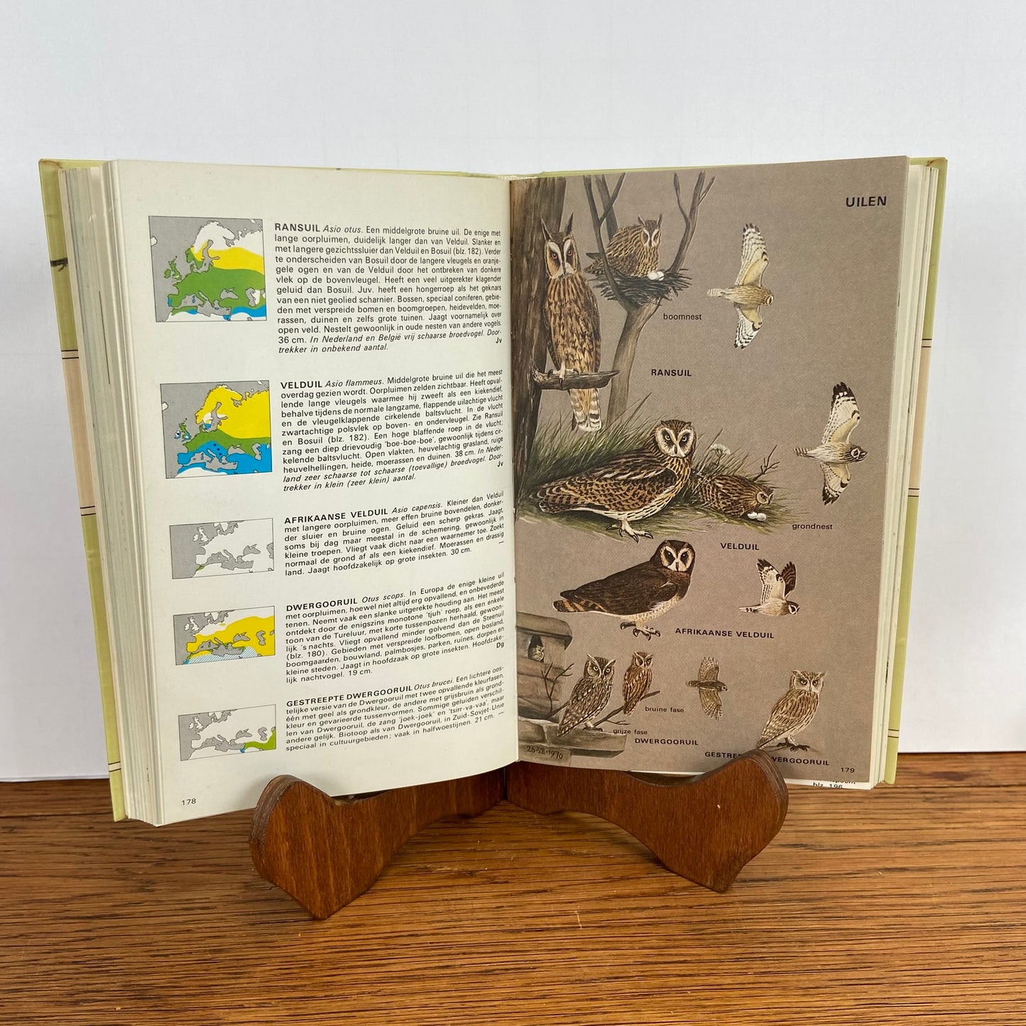 De Europese vogels in kleur