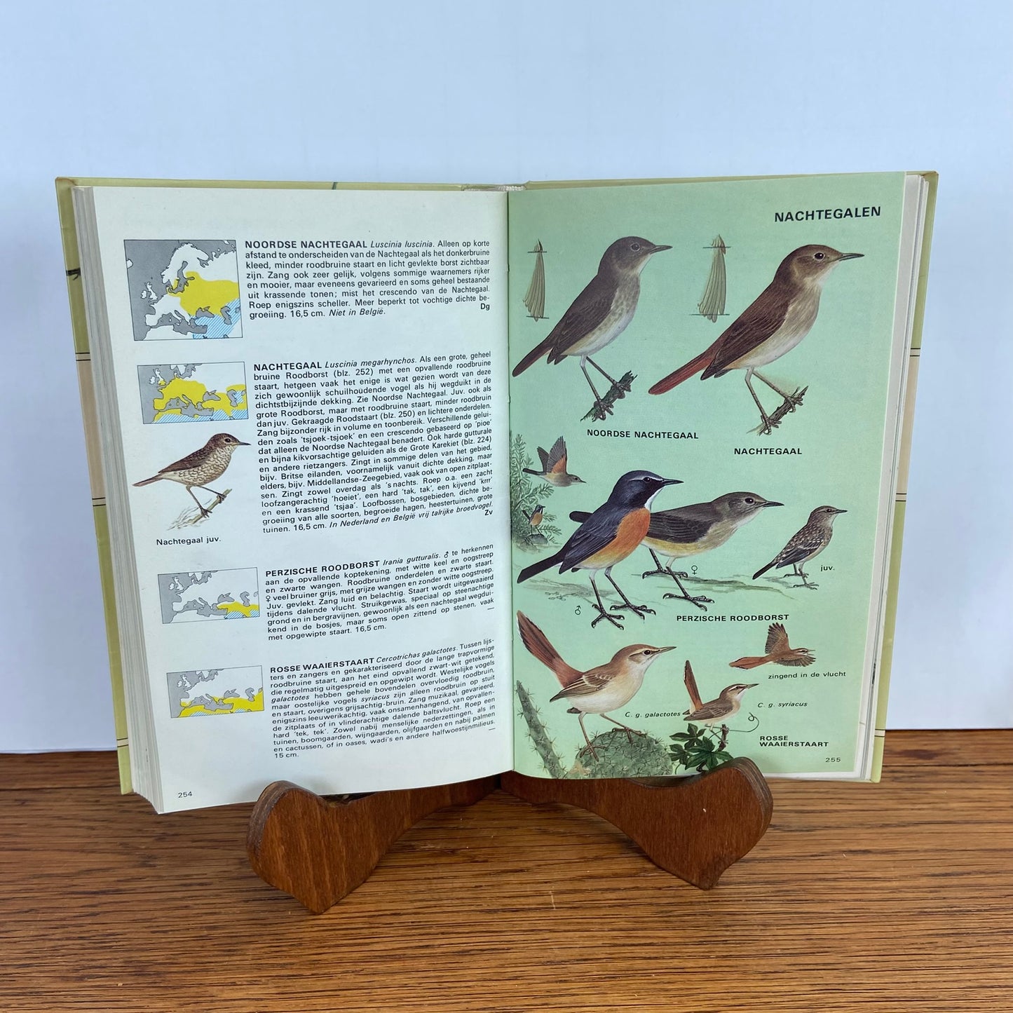 De Europese vogels in kleur