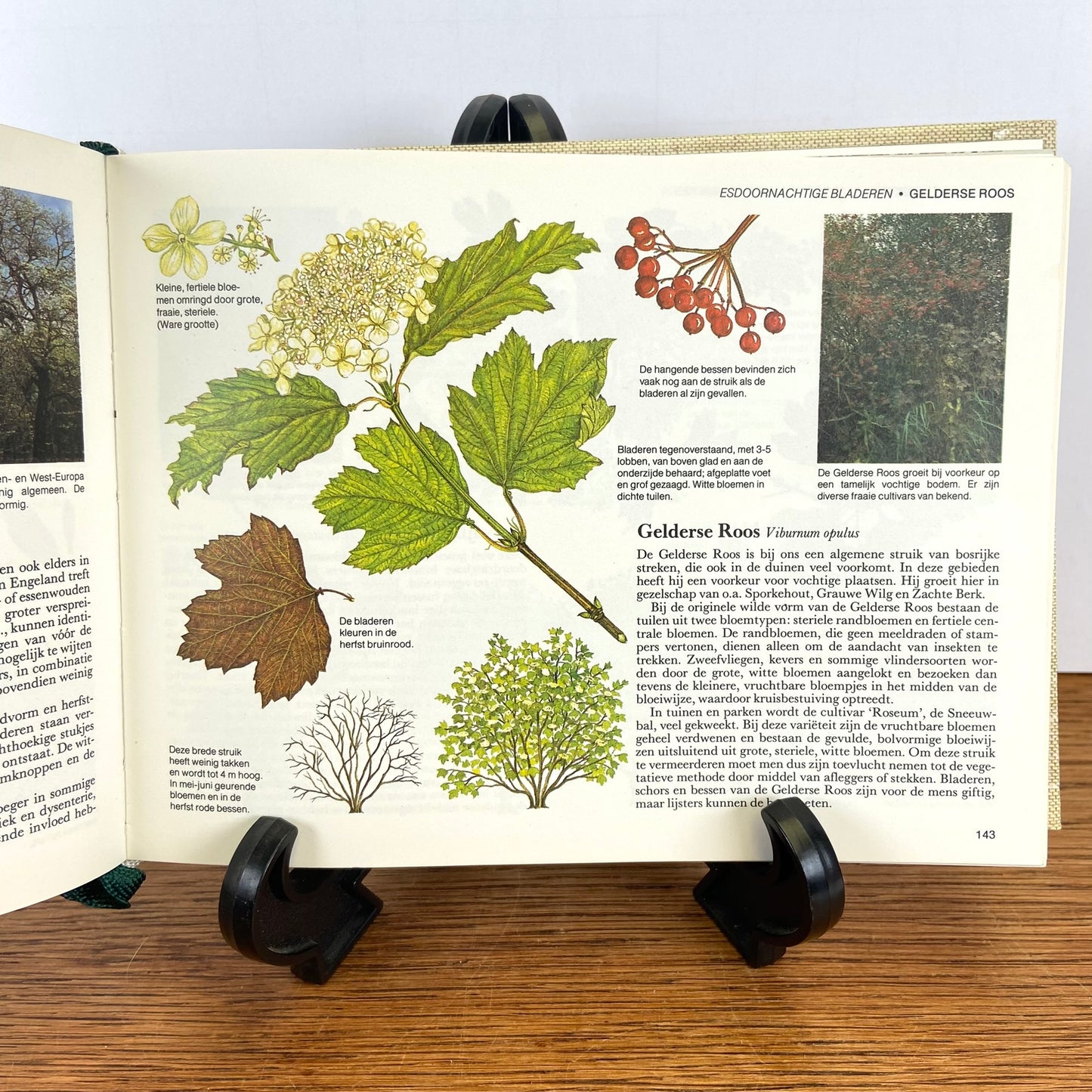 Reader's Digest Bomen en Struiken