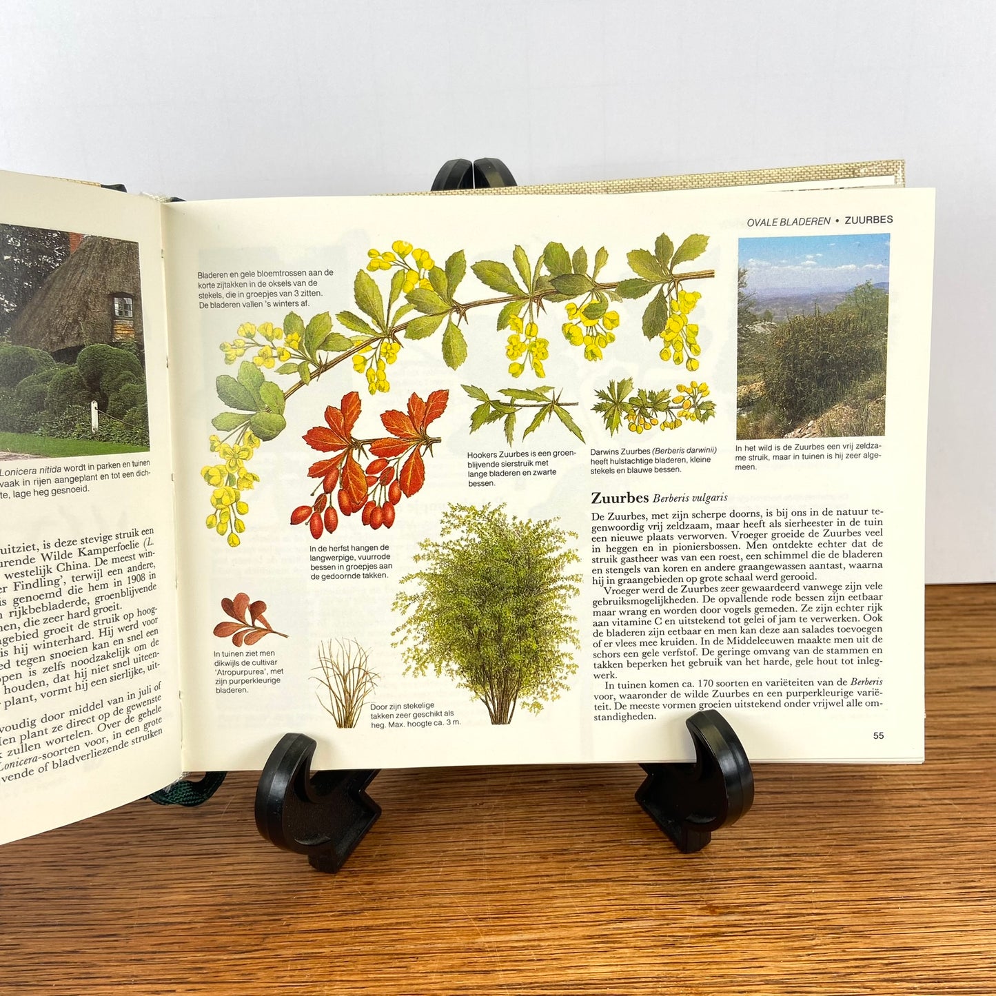 Reader's Digest Bomen en Struiken