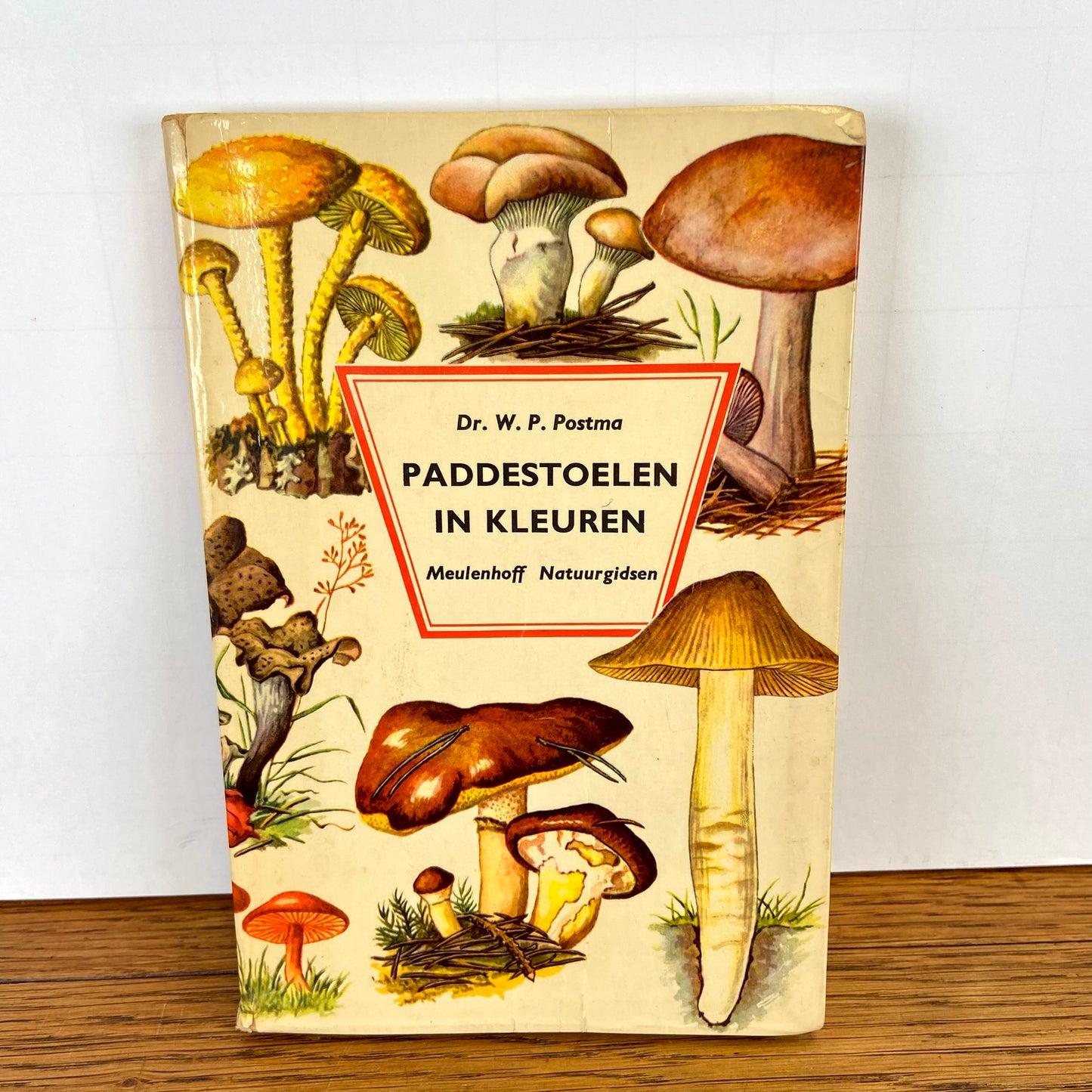 Vintage boekje Paddestoelen in kleuren