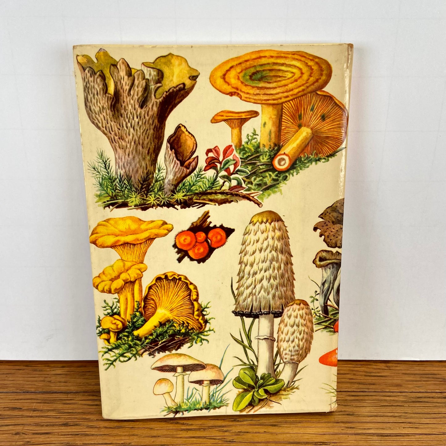 Vintage boekje Paddestoelen in kleuren