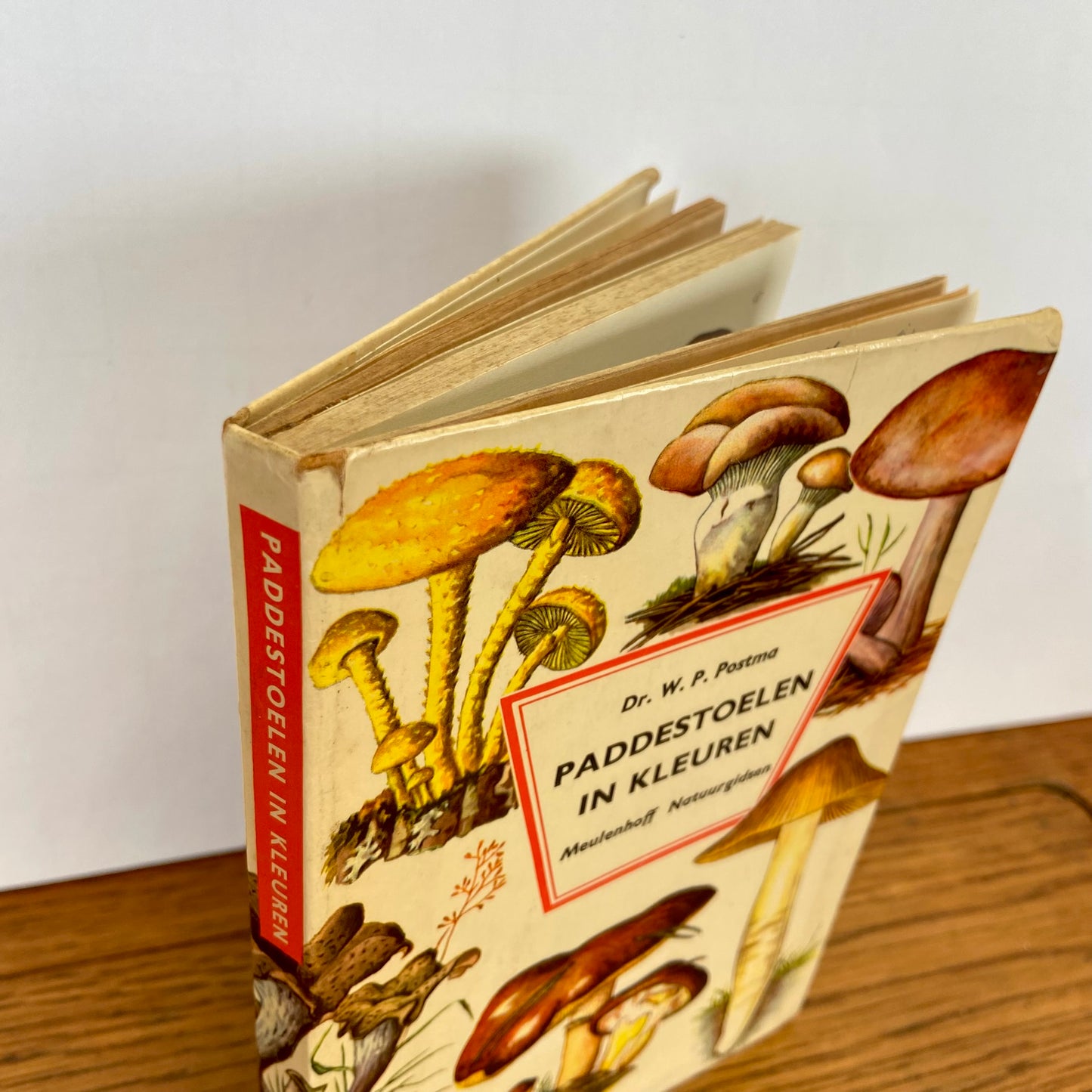 Vintage boekje Paddestoelen in kleuren