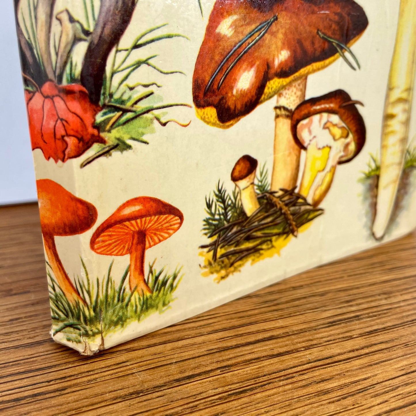 Vintage boekje Paddestoelen in kleuren