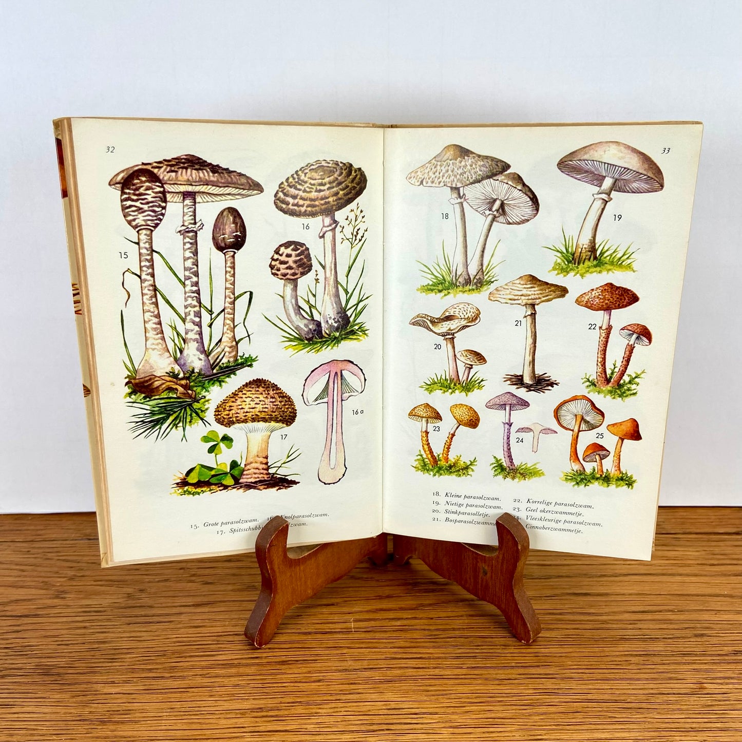 Vintage boekje Paddestoelen in kleuren