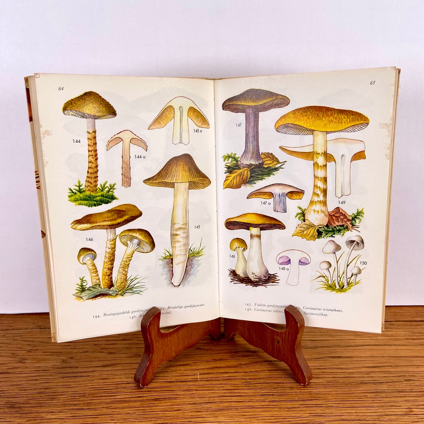 Vintage boekje Paddestoelen in kleuren