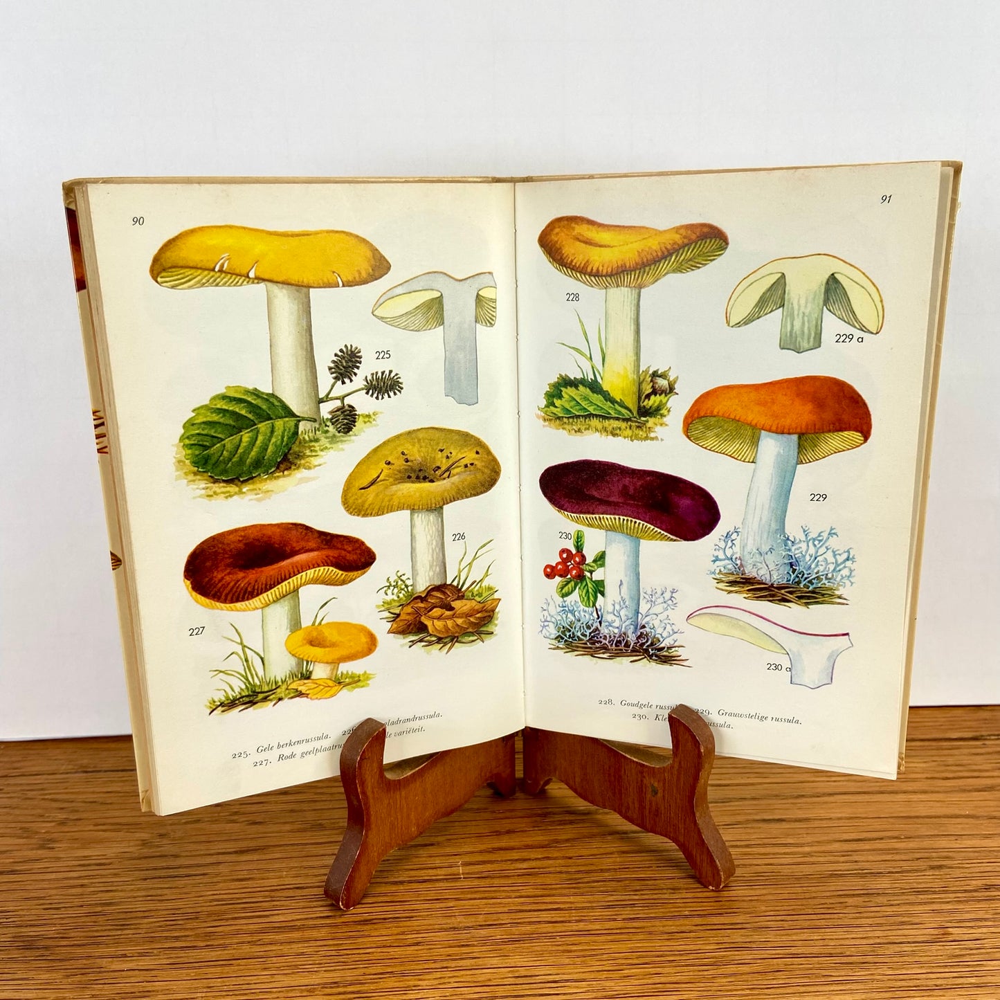 Vintage boekje Paddestoelen in kleuren