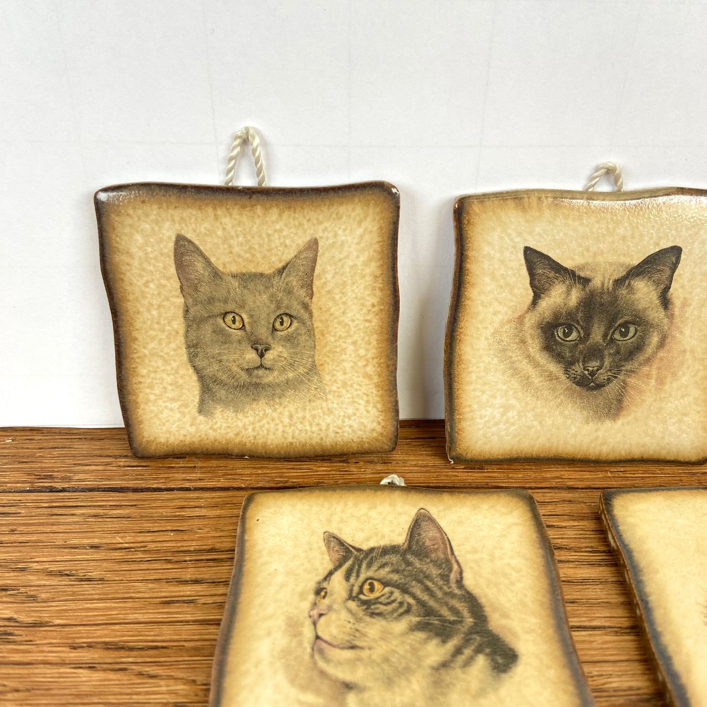 Vintage tegeltjes katten