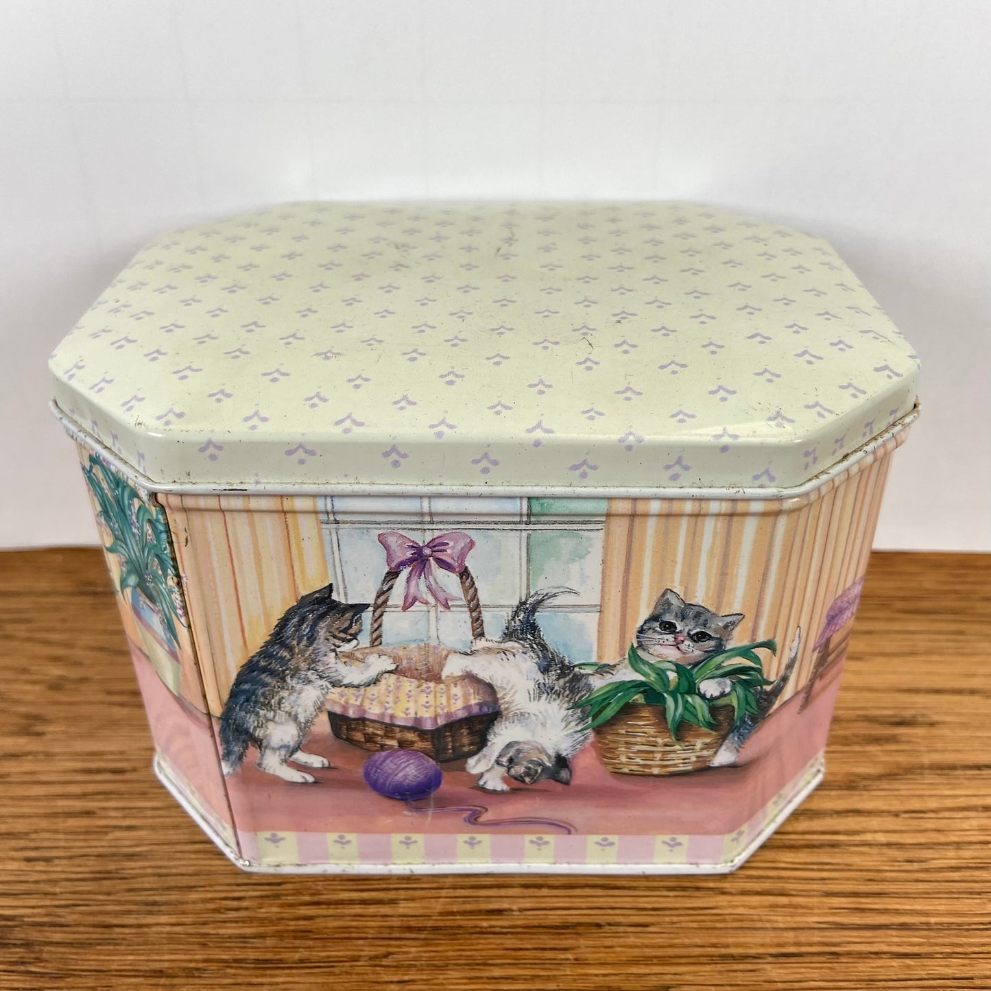 Vintage katten blik