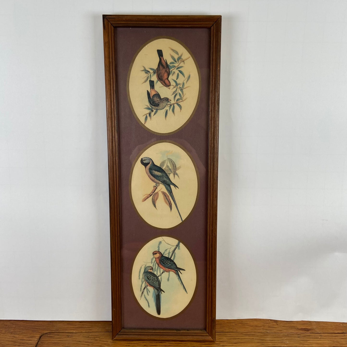 Vintage schilderij vogels