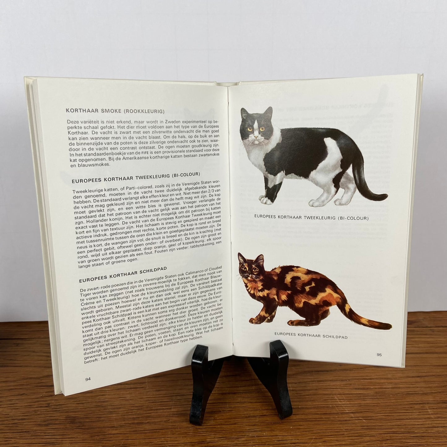 Boek kattengids